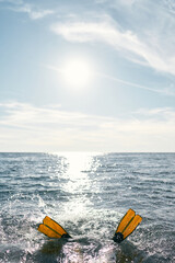 Pair of flippers sharpens from the sea under bright sunlight. High quality photo