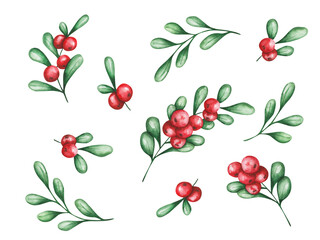 Watercolor illustration of hand painted branch with red berries and green leaves. Cranberry, cowberry. Summer, autumn harvest. Isolated clip art for patterns, prints. Traditional Thanksgiving food