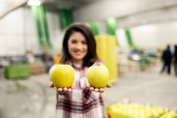 Selective focus on apples in hands of a female worker in fruit factory storage.
