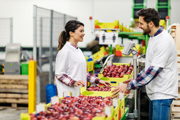 A fruit factory workers taking crates from conveyor belt in facility.