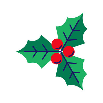 Illustration of Christmas holly branch. Happy New Year decoration. Holiday seasonal object.