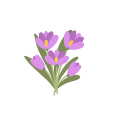 Obraz na płótnie Canvas bunch of violet flower