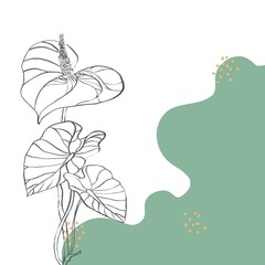 Background with plants.