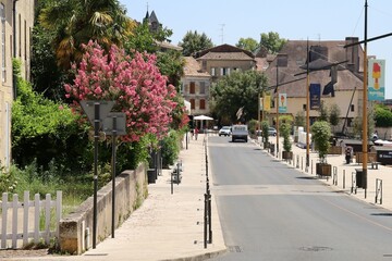 Fototapeta premium Rue typique, ville Bergerac, département de la Dordogne, France