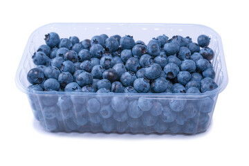 Blueberries in a plastic container isolated on white background.