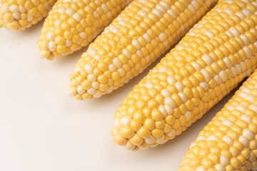 Yellow corn isolated on white background. Copyspace.