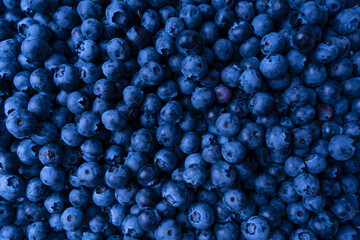 Fresh blueberry background. Texture blueberry berries close up.