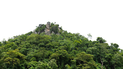 Rock Mountain with tree  white background