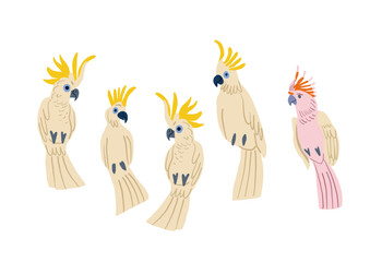 Vector set of cute colorful birds on white background. Tropical birds