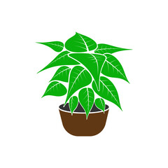 Icon of a large green vase in a pot. Vector illustration of a houseplant.