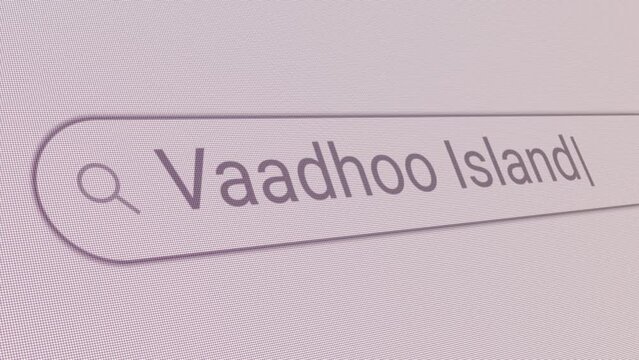 Search Bar Vaadhoo Island 
Close Up Single Line Typing Text Box Layout Web Database Browser Engine Concept