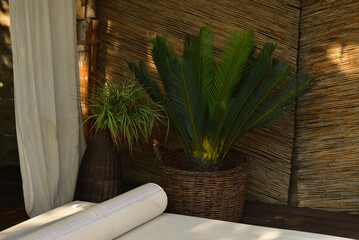 Cozy bungalow with beautiful plants and white bed, vacation and tropics concept