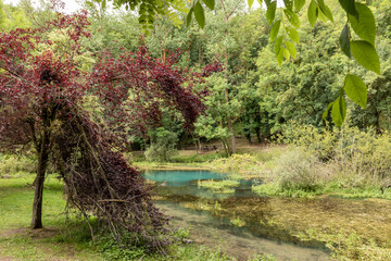 source of the ebro in northern spain