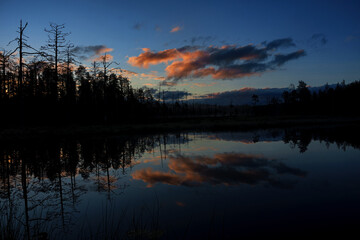 Romance of the Finnish taiga and landscape at sunset