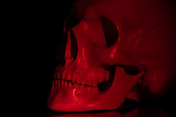 The human skull is illuminated by red light, which gives it a frightening effect