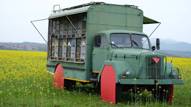 Shot of a green old truck standing in the field with yellow flowers