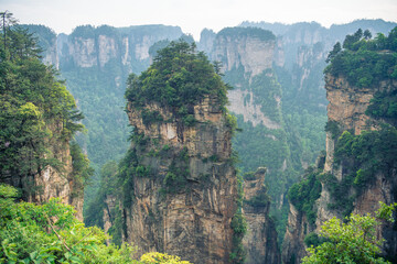 Fototapeta na wymiar The peak of Avatar Halellujah Rock behind the trees in Wulingyuan National forest park, Zhangjiajie, Hunan, China, copy space for text, horizontal image