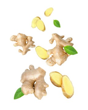 Ginger spice with cut slices and mint leaf flying in the air isolated on white background.