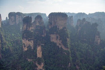 Horizontal image of the limestone pillars of Avatar mountains in Wulingyuan National forest park, Zhangjiajie, Hunan, China, sunset image wiith copy space for text, horizontal