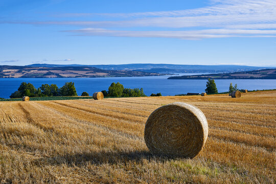 A straw bale from Toten by Lake Mj&oslash;sa,, Norway, a summer morning of August 2022 - version II
