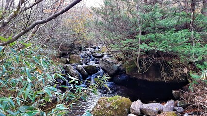 デコ平の秋の風景
