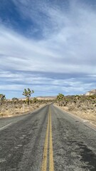 Joshua Tree Park, Californie