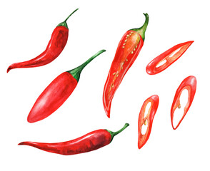 Set of hot peppers, pieces and half. Illustration watercolor