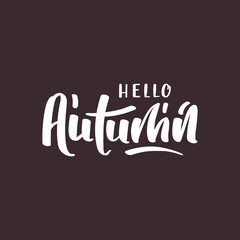 "Hello autumn" handwritten lettering. Vector illustration. Card, cover, postcard.