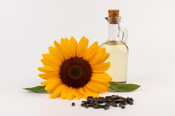 Sunflower oil in glass jug, seeds and flower isolated on white background