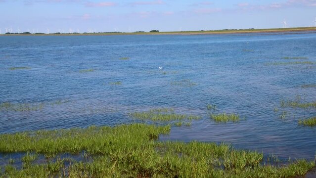 High tide to low tide time lapse revealing grass and ground of the wadden sea