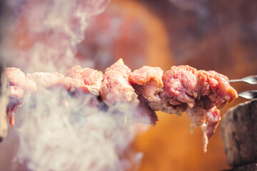 Delicious juicy meat on skewers is fried on a fire