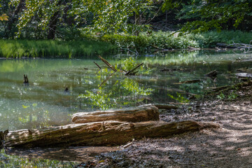 Bieszczady Mountains, Poland, the wildest region in the Poland, Polish Mountains and landscapes, Along the Bieszczady trails, Zwiezlo nature reserve, Duszatynskie lakes