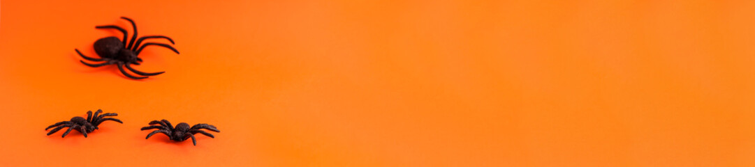 Flat lay banner of tree black horror spiders of different sizes directions on orange backdrop with copy space. Halloween decoration spooky background concept for holidays