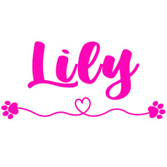 Lily Name for Baby Girl Dog