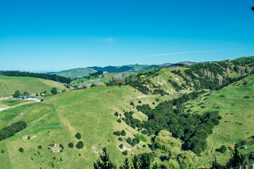 Fototapeta na wymiar Stunning rural landscape of farmland pasture and forests in hill country of Hawke's Bay. Iconic New Zealand