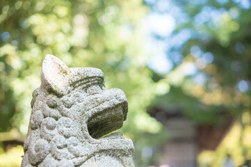 京都 宇治神社の狛犬と新緑