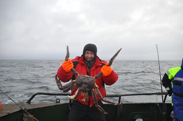Fisherman holds huge red king crab, fishman stands on deck of fishing schooner in cold North Sea,...