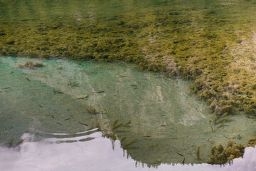 Amazing view of crystal clear water of the Five Flower Lake (Multicolored Lake) among autumn woods in Jiuzhaigou nature (Jiuzhai Valley National Park), China.
