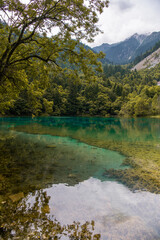 Clean mountain river and majestic mountains with ancient forest. Jiuzhaigou nature reserve and national park, China.