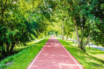 Red treadmill on the alley in the park among the trees in the morning. Red running track in the park in summer