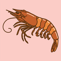 Shrimp or prawn. Hand drawn flat vector illustration isolated on pink background