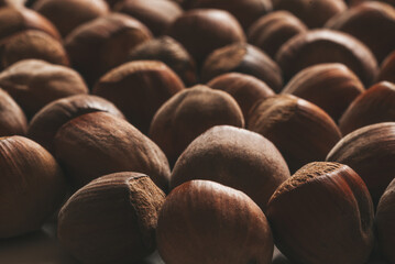 Closeup of some unopened hazelnuts