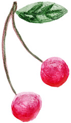 Watercolor clipart of two cherries. Hand-drawn painting isolated on transparent or white background