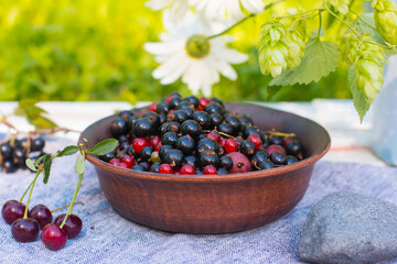 Black and red currants in a plate in nature. Harvesting in the village