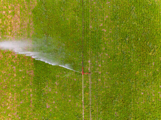 Water jet of sprinkler of irrigation on a field seen from the air, aerial view in Germany