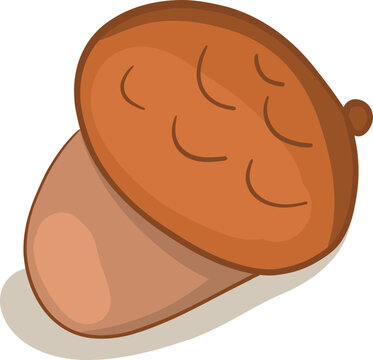 Cute brown acorn 