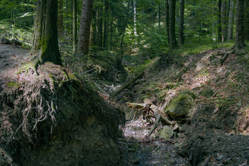 Bieszczady Mountains, Poland, The wildest region in the Poland, Polish Mountains and landscapes, Along the Bieszczady trails, Zwiezlo nature reserve,