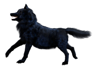 3D Rendering Black Wolf on White