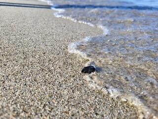 mediterranean sea 