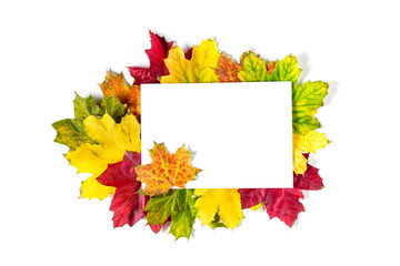 Colorful frame of fallen autumn leaves and a blank paper sheet. Flat lay, top view, copy space for your text